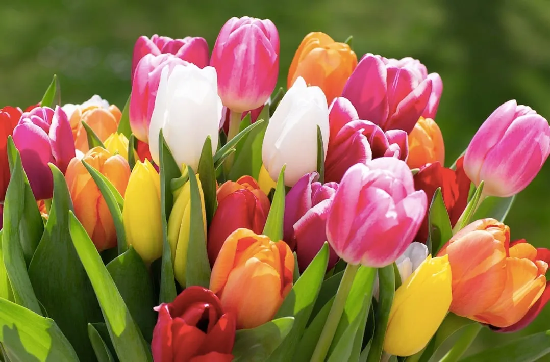 Weekly Horoscope: April 28– May 4, 2025